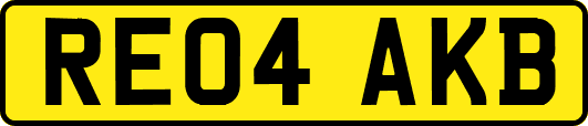 RE04AKB