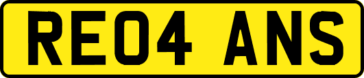 RE04ANS
