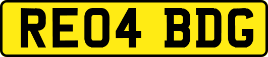 RE04BDG