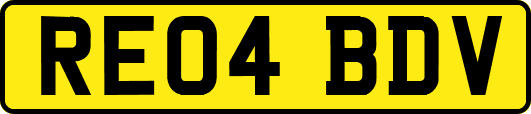 RE04BDV