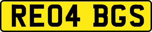 RE04BGS