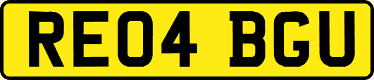 RE04BGU