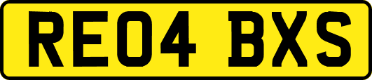 RE04BXS