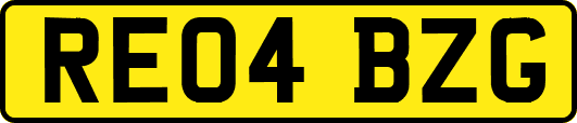 RE04BZG