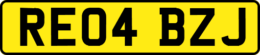 RE04BZJ