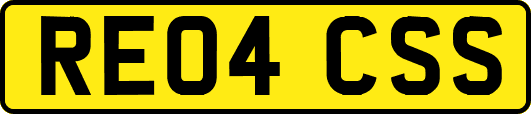 RE04CSS