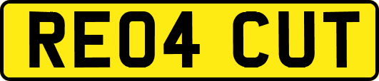 RE04CUT