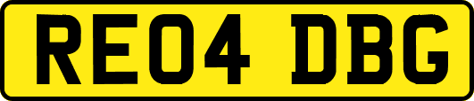 RE04DBG