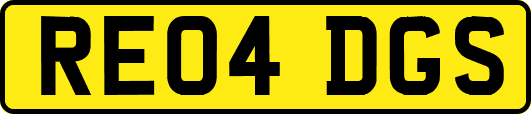 RE04DGS