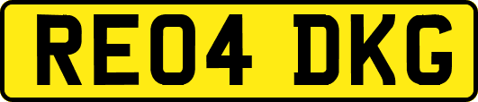RE04DKG