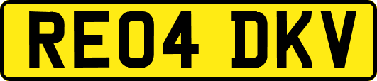 RE04DKV