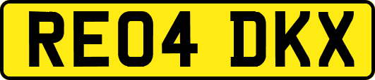 RE04DKX