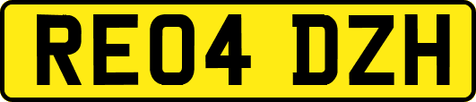 RE04DZH