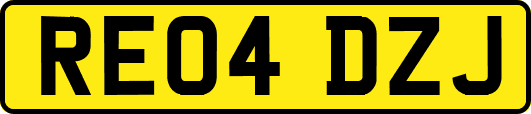 RE04DZJ