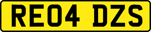 RE04DZS