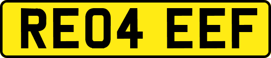 RE04EEF