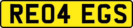 RE04EGS