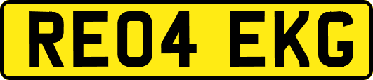 RE04EKG