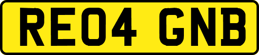 RE04GNB
