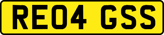RE04GSS