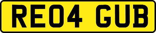 RE04GUB