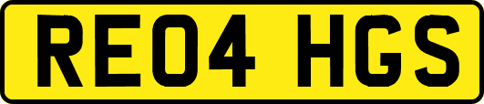 RE04HGS
