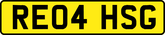 RE04HSG