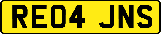 RE04JNS