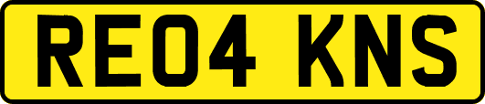 RE04KNS