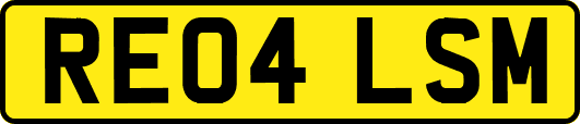 RE04LSM