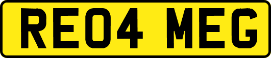 RE04MEG