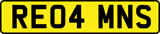 RE04MNS