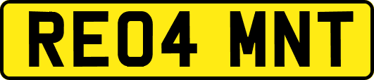 RE04MNT