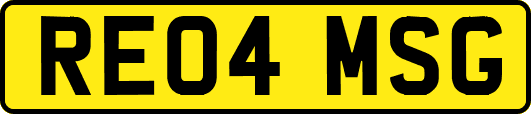 RE04MSG