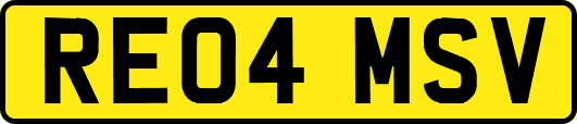 RE04MSV