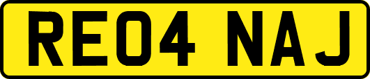 RE04NAJ