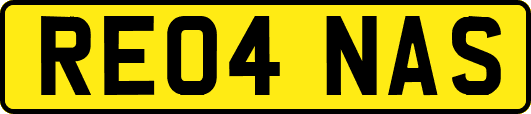 RE04NAS