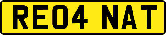 RE04NAT
