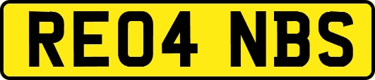 RE04NBS