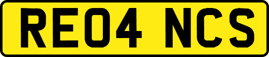 RE04NCS
