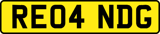 RE04NDG
