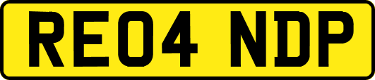 RE04NDP
