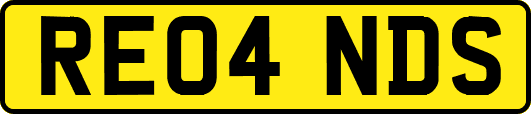 RE04NDS