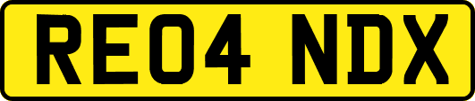 RE04NDX