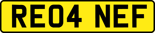RE04NEF