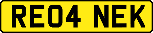 RE04NEK