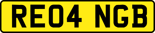 RE04NGB