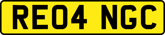 RE04NGC