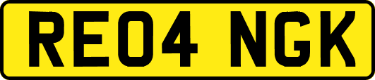 RE04NGK
