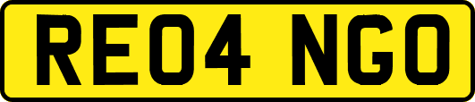 RE04NGO